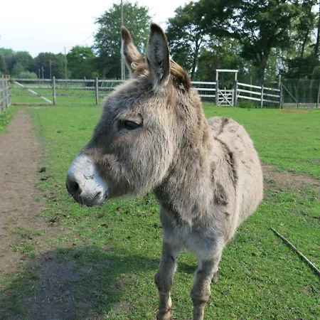 Hoeve Chartreuse Nocleg ze śniadaniem *