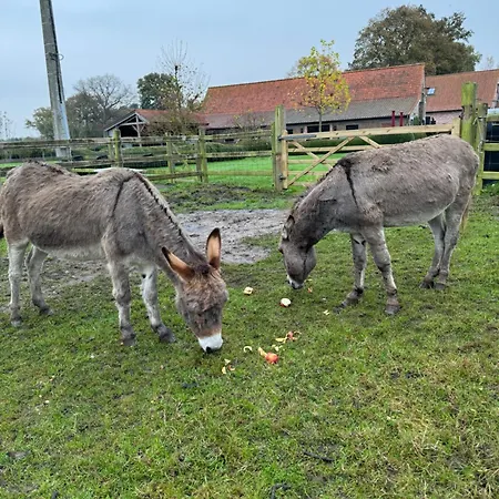 Nocleg ze śniadaniem Hoeve Chartreuse Brugia