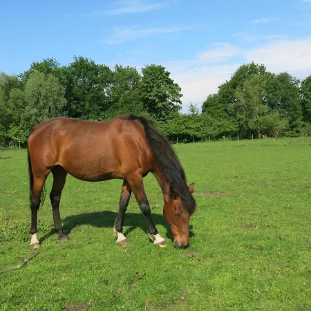 Bed & Breakfast Hoeve Chartreuse *